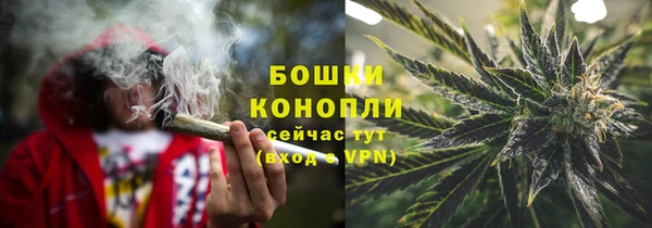 ПСИЛОЦИБИНОВЫЕ ГРИБЫ Рославль