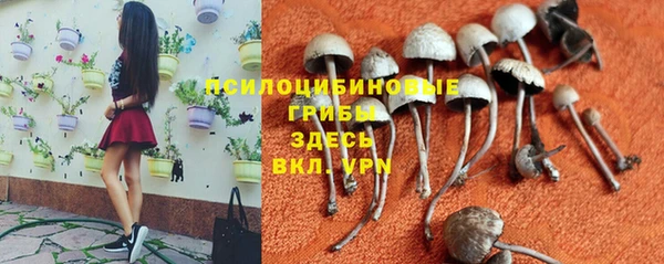 ПСИЛОЦИБИНОВЫЕ ГРИБЫ Рославль