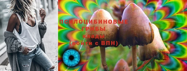 МДПВ Ростов