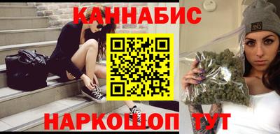 гашик Кингисепп