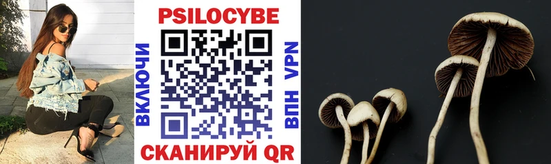 где купить наркоту  Вязьма  Галлюциногенные грибы Psilocybine cubensis 