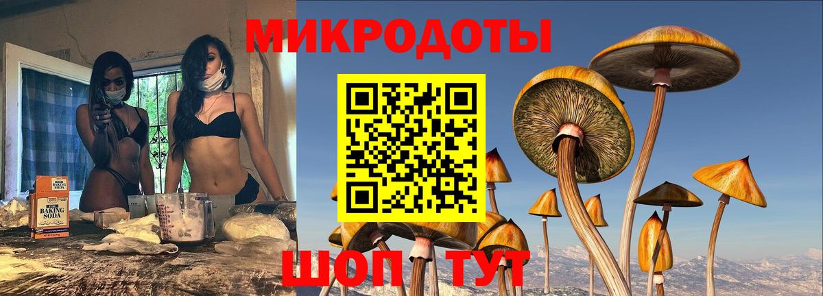 Галлюциногенные грибы GOLDEN TEACHER  Галлюциногенные грибы Cubensis  Вязьма 