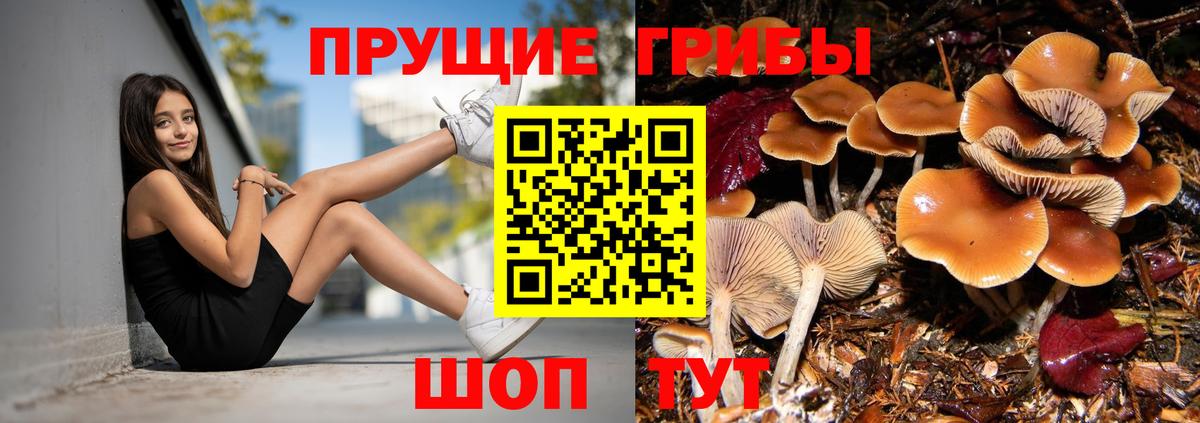 Гашиш  Канабис  КОКАИН  Лсд 25  Метамфетамин  Героин  Вязьма  МЕФ   А ПВП СК кристаллы  Как найти закладки? 