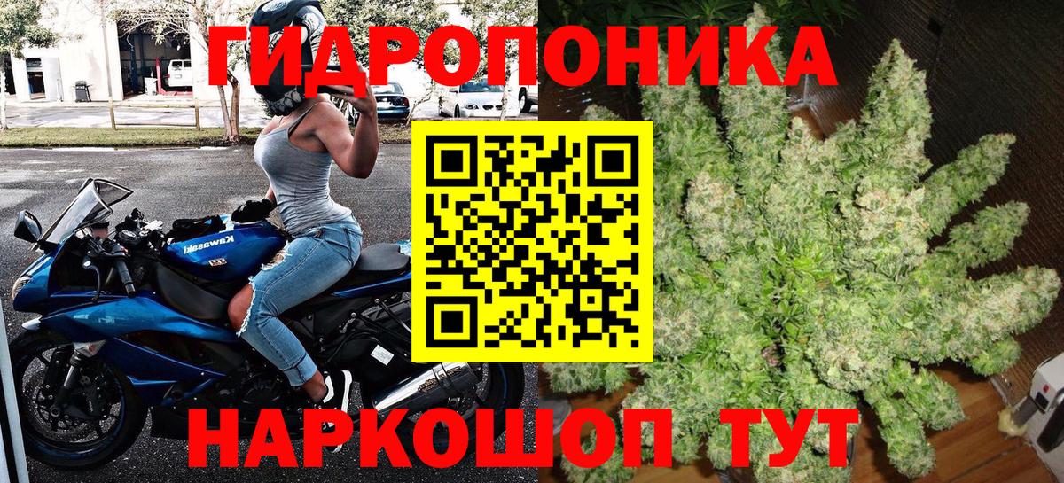 Канабис индика Вязьма